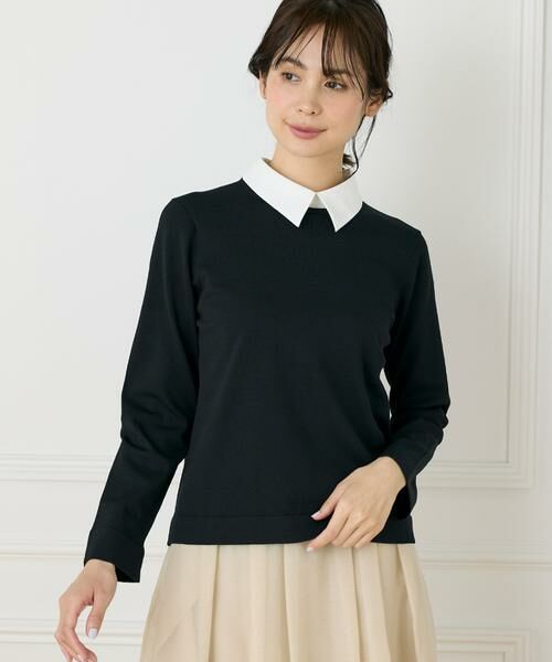 INED / イネド ニット・セーター | 《大きいサイズ》衿付きクルーネックプルオーバー | 詳細1