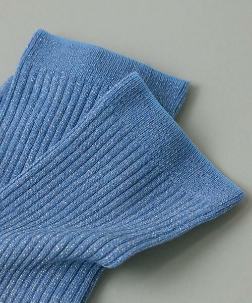 INED / イネド ソックス | 《SUPERIOR CLOSET》Shiny Rib ソックス《FALKE》 | 詳細3