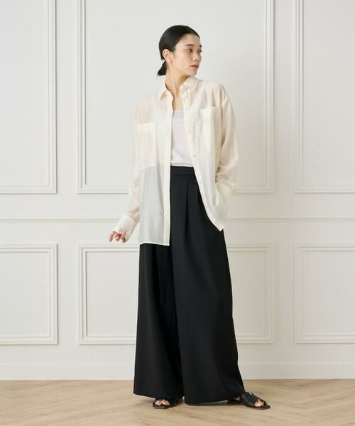 INED / イネド シャツ・ブラウス | 《大きいサイズ》《WEB限定カラー》オーガンジーシアーシャツ | 詳細2
