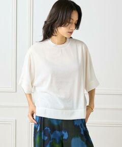 INED / イネド Tシャツ | シアーオーバーサイズカットソー