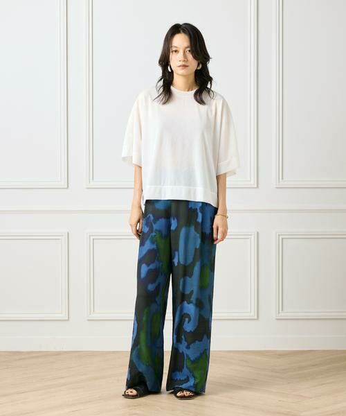 INED / イネド Tシャツ | シアーオーバーサイズカットソー | 詳細13