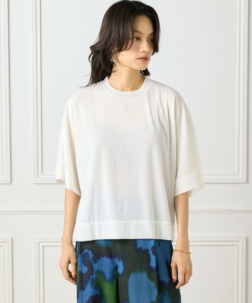 INED / イネド カットソー | 《大きいサイズ》シアーオーバーサイズカットソー | 詳細10