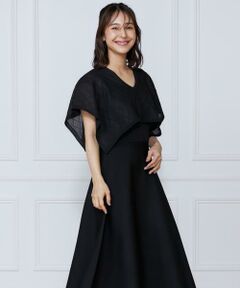 INED / イネド ミニ丈・ひざ丈ワンピース | シアーアーガイルワンピース