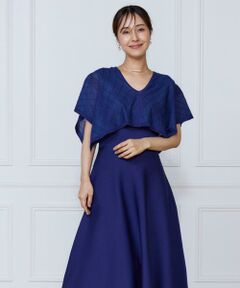 INED / イネド ミニ丈・ひざ丈ワンピース | シアーアーガイルワンピース