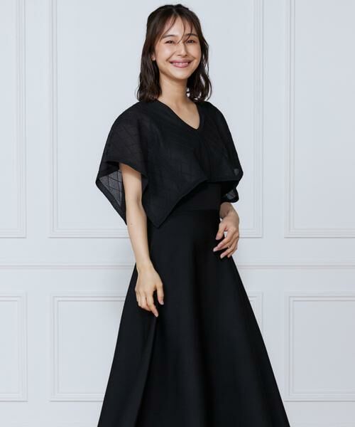 INED / イネド ミニ丈・ひざ丈ワンピース | シアーアーガイルワンピース | 詳細1