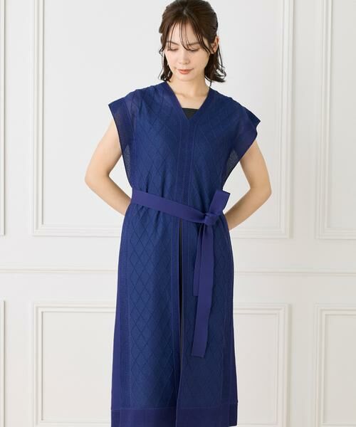 INED / イネド ミニ丈・ひざ丈ワンピース | シアーアーガイル サックワンピース | 詳細1