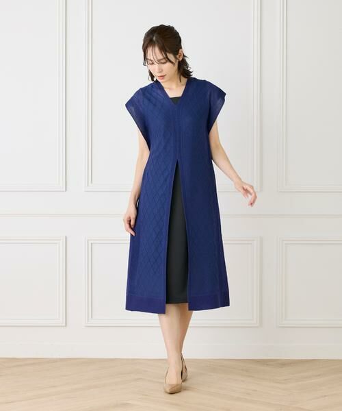 INED / イネド ミニ丈・ひざ丈ワンピース | シアーアーガイル サックワンピース | 詳細6