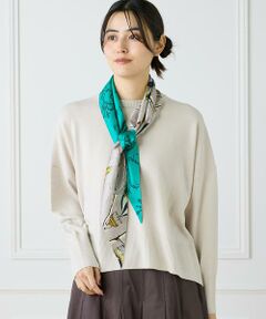 INED / イネド ニット・セーター | クルーネックプルオーバーニット