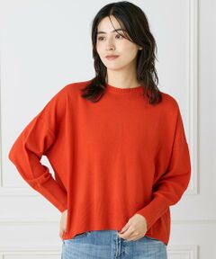 INED / イネド ニット・セーター | 《大きいサイズ》クルーネックプルオーバーニット