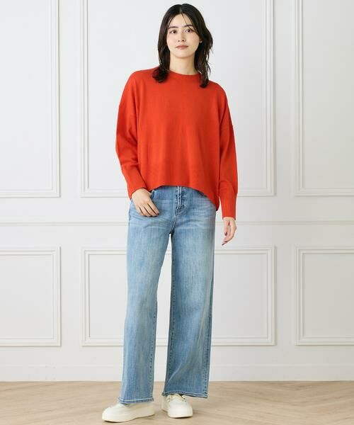 INED / イネド ニット・セーター | 《大きいサイズ》クルーネックプルオーバーニット | 詳細12