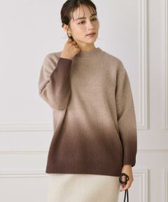 INED / イネド ニット・セーター | グラデーションニットプルオーバー《YVON》