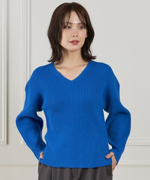 INED / イネド ニット・セーター | 《大きいサイズ》Vネックプルオーバーニット | 詳細13