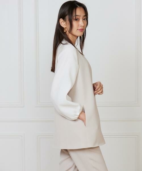 INED / イネド ベスト | 《大きいサイズ》カラーレスジレ | 詳細11