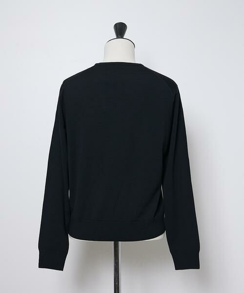 INED / イネド ニット・セーター | FF30ゲージ クルーネックニット | 詳細15