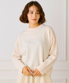 INED / イネド ニット・セーター | ウール100％クルーネックニット