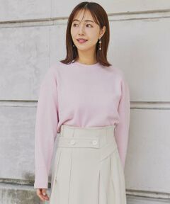 INED / イネド ニット・セーター | ウール100％クルーネックニット