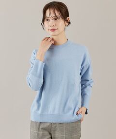 INED / イネド ニット・セーター | ウール100％クルーネックニット