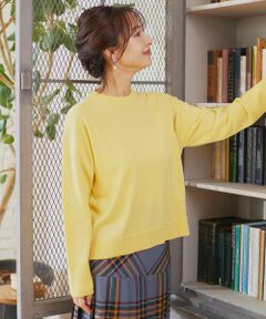 INED / イネド ニット・セーター | ウール100％クルーネックニット