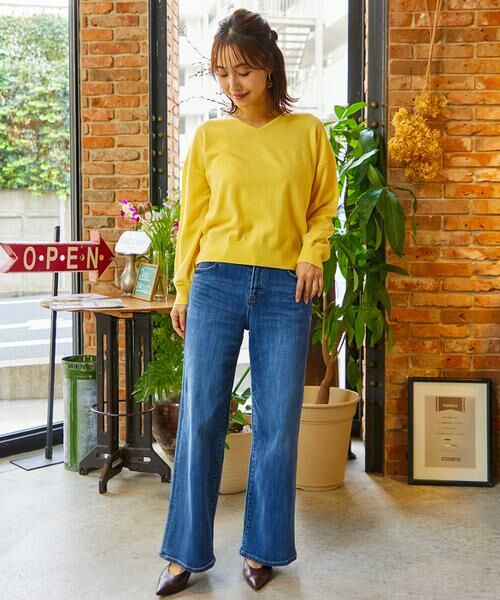 INED / イネド ニット・セーター | ウール100％Vネックニット | 詳細8