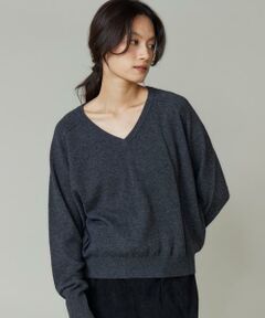 INED / イネド ニット・セーター | 《大きいサイズ》Vネックプルオーバー