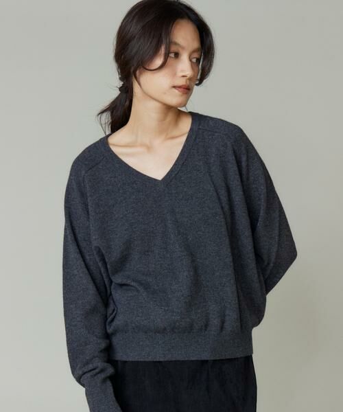 INED / イネド ニット・セーター | 《大きいサイズ》Vネックプルオーバー | 詳細1