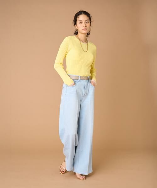 INED / イネド ニット・セーター | シアードッキングリブニット | 詳細2