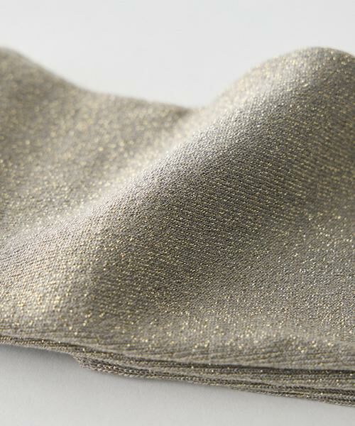 INED / イネド ソックス | 《FALKE》靴下 Shiny Socks | 詳細3