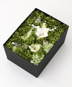 【OUTLET】【INGEBORG×育てるタオル】プリザーブドフラワー