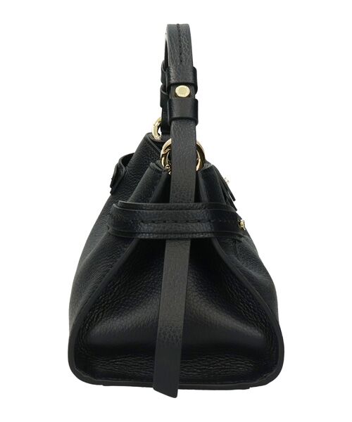 INTER-CHAUSSURES / インター ショシュール ハンドバッグ | 【LORISTELLA】シュリンクレザーハンドバッグ | 詳細2