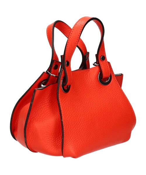 INTER-CHAUSSURES / インター ショシュール ハンドバッグ | 【RIPANI】シュリンクレザーミニハンドバッグ | 詳細13