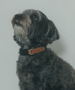 LOWELL Things / ロウェルシングス ペットグッズ | MATIE/首輪【Direction by  有末 麻祐子】