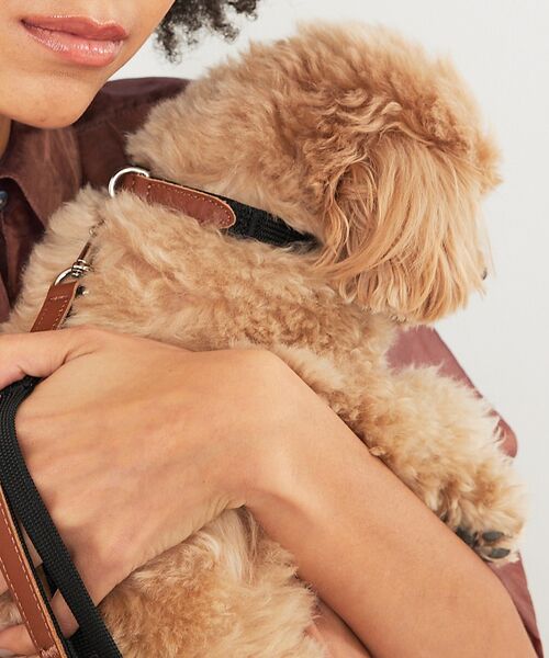 LOWELL Things / ロウェルシングス ペットグッズ | MATIE/首輪【Direction by  有末 麻祐子】 | 詳細9