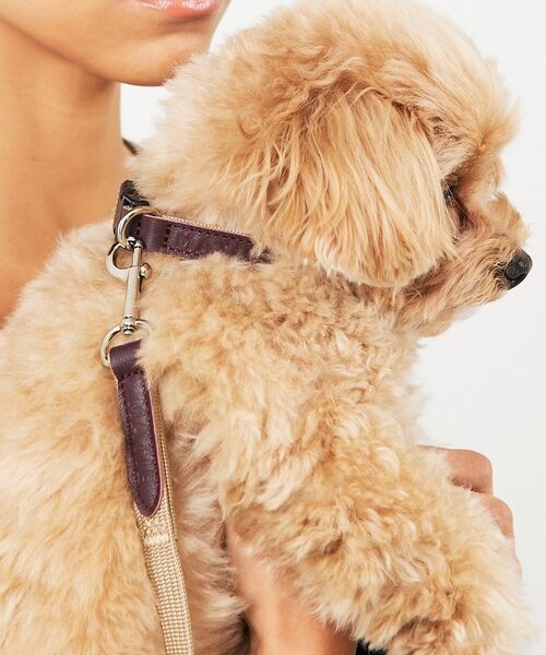 LOWELL Things / ロウェルシングス ペットグッズ | MATIE/小型犬/首輪【Direction by  有末 麻祐子】 | 詳細14