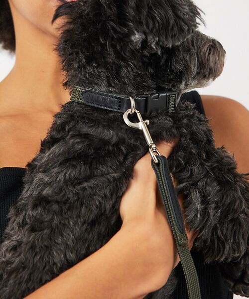 LOWELL Things / ロウェルシングス ペットグッズ | MATIE/首輪【Direction by  有末 麻祐子】 | 詳細17