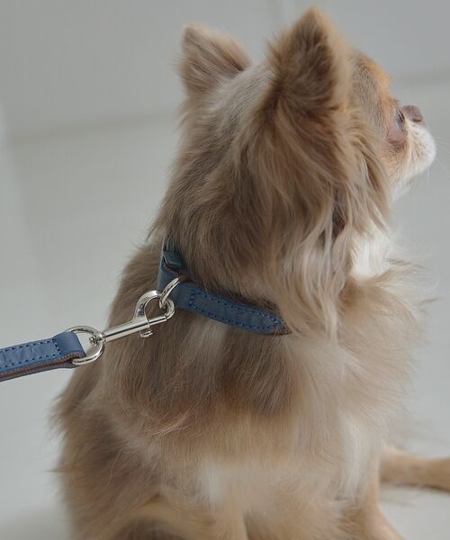 LOWELL Things / ロウェルシングス ペットグッズ | MATIE/小型犬/首輪【Direction by  有末 麻祐子】 | 詳細24