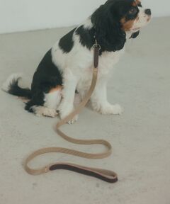 LOWELL Things / ロウェルシングス ペットグッズ | MATIE/リードShort【Direction by  有末 麻祐子】