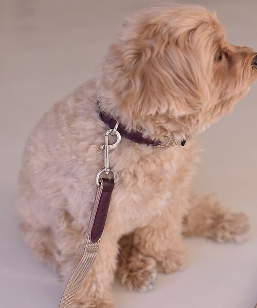 LOWELL Things / ロウェルシングス ペットグッズ | MATIE/リードShort【Direction by  有末 麻祐子】 | 詳細19