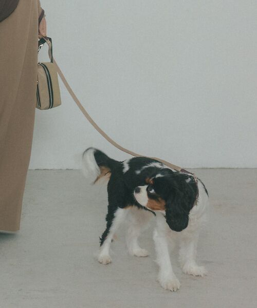 LOWELL Things / ロウェルシングス ペットグッズ | MATIE/リードShort【Direction by  有末 麻祐子】 | 詳細23