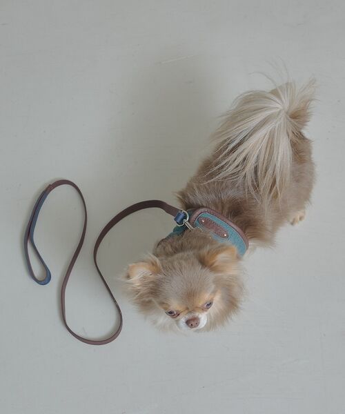 LOWELL Things / ロウェルシングス ペットグッズ | MATIE/小型犬/ショートリード【Direction by  有末 麻祐子】 | 詳細28
