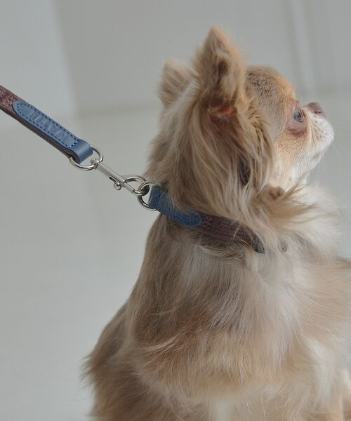 LOWELL Things / ロウェルシングス ペットグッズ | MATIE/小型犬/ショートリード【Direction by  有末 麻祐子】 | 詳細29
