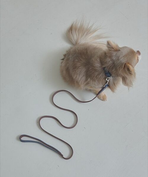 LOWELL Things / ロウェルシングス ペットグッズ | MATIE/小型犬/ショートリード【Direction by  有末 麻祐子】（ブラウン）