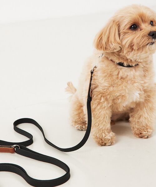 LOWELL Things / ロウェルシングス ペットグッズ | MATIE/リードLong/ハンズフリーリード【Direction by  有末 | 詳細13
