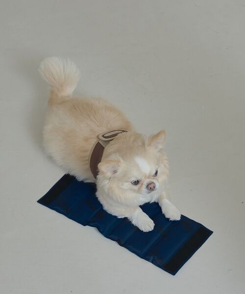 LOWELL Things / ロウェルシングス ペットグッズ | MATIE/ 保冷ジェルマット/スリング対応【Direction by  有末 | 詳細11