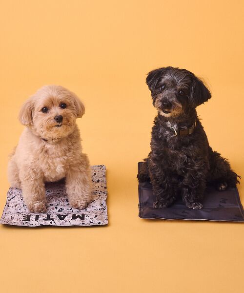 LOWELL Things / ロウェルシングス ペットグッズ | MATIE/ 保冷ジェルマットL/ペットリュック対応【Direction by | 詳細12