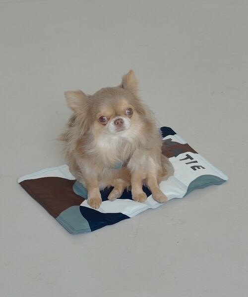 LOWELL Things / ロウェルシングス ペットグッズ | MATIE/ 保冷ジェルマットL/ペットリュック対応【Direction by | 詳細17