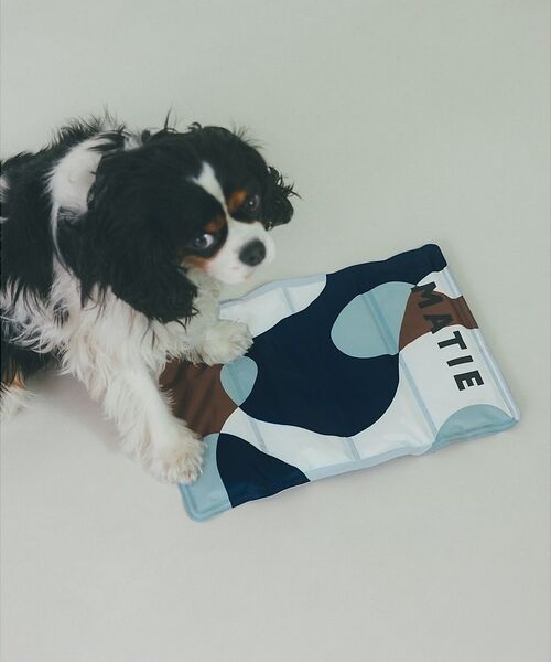 LOWELL Things / ロウェルシングス ペットグッズ | MATIE/ 保冷ジェルマットL/ペットリュック対応【Direction by（ネイビー）