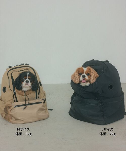 LOWELL Things / ロウェルシングス ペットグッズ | MATIE/ペットリュックＭ【Direction by  有末 麻祐子】 | 詳細8