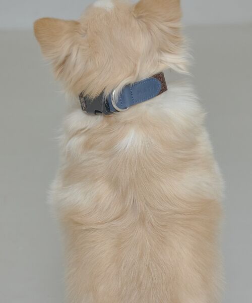 LOWELL Things / ロウェルシングス ペットグッズ | MATIE/中型犬/首輪【Direction by 有末 麻祐子】 | 詳細13