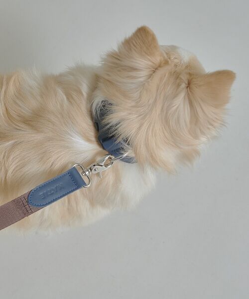 LOWELL Things / ロウェルシングス ペットグッズ | MATIE/中型犬/首輪【Direction by 有末 麻祐子】 | 詳細14