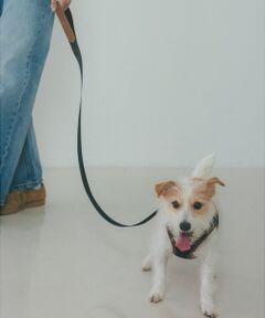 LOWELL Things / ロウェルシングス ペットグッズ | MATIE/中型犬/ショートリード【Direction by 有末 麻祐子】